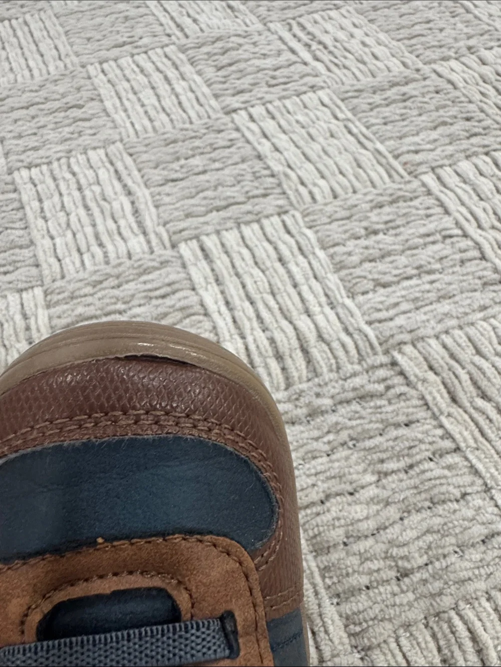 Stride Rite Suprize Toddler Sneakers in Brown & Navy